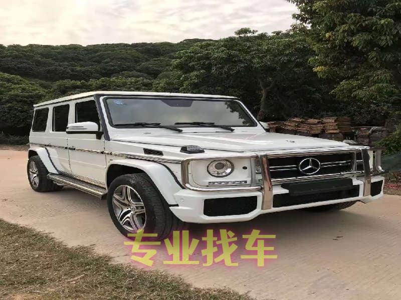 专业帮人找车